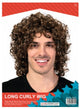 Mens Long Curly Wig (Brown)