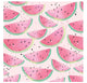 NAPKIN LNCH 20PK WATERMELON